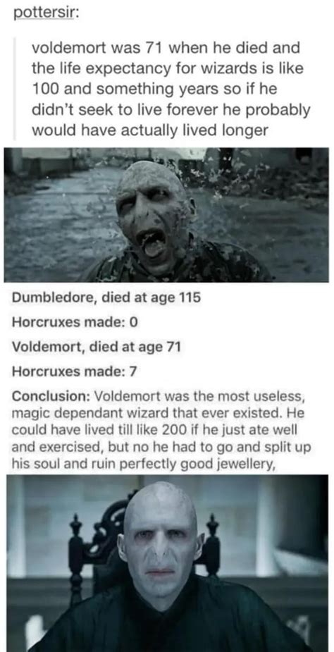 Fanfics with a well written Voldemort : r/HPfanfiction .